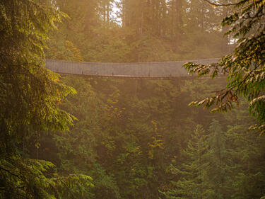 Sunrise light at the famous Capilano Suspension Bridge Park on a foggy morning, suspended walking bridge in middle of forest, North Vancouver, British Columbia, Canada.